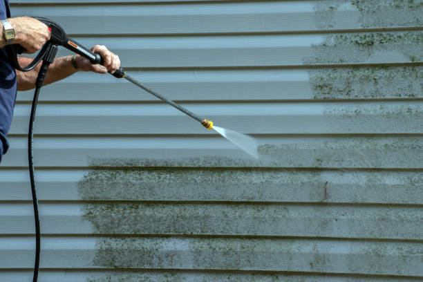 Best Soft Washing for Delicate Surfaces in Englewood, CO